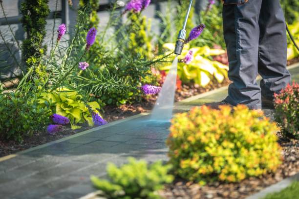Best Soft Washing for Delicate Surfaces in Fair Haven, NY