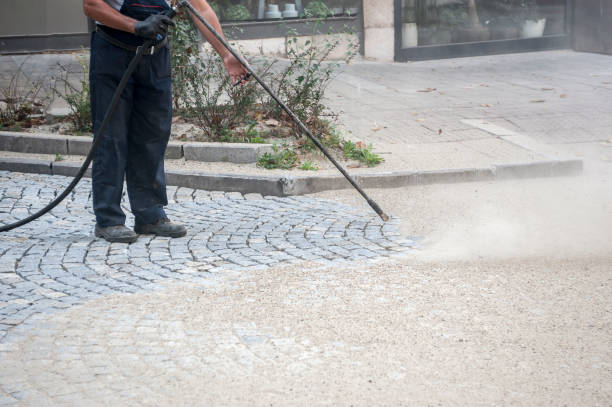 Best Fence Cleaning and Maintenance in Fair Haven, NY